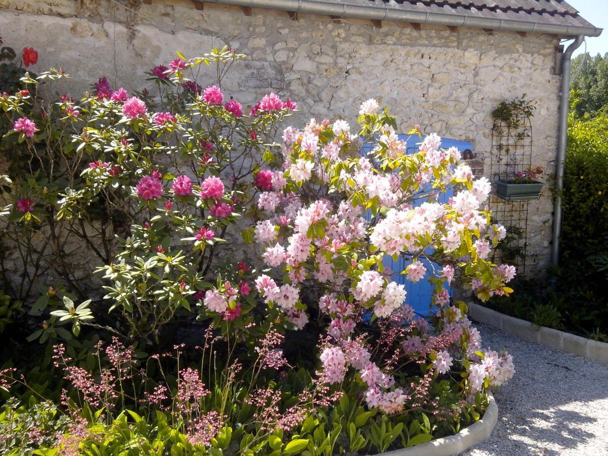 Bed and Breakfast Les Hirondelles Onzain Exterior foto